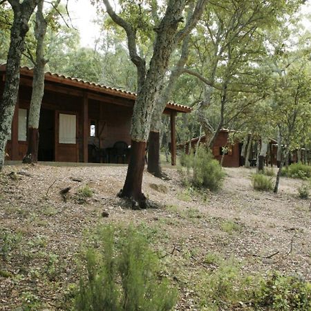 Camping Maçanet de Cabrenys Εξωτερικό φωτογραφία