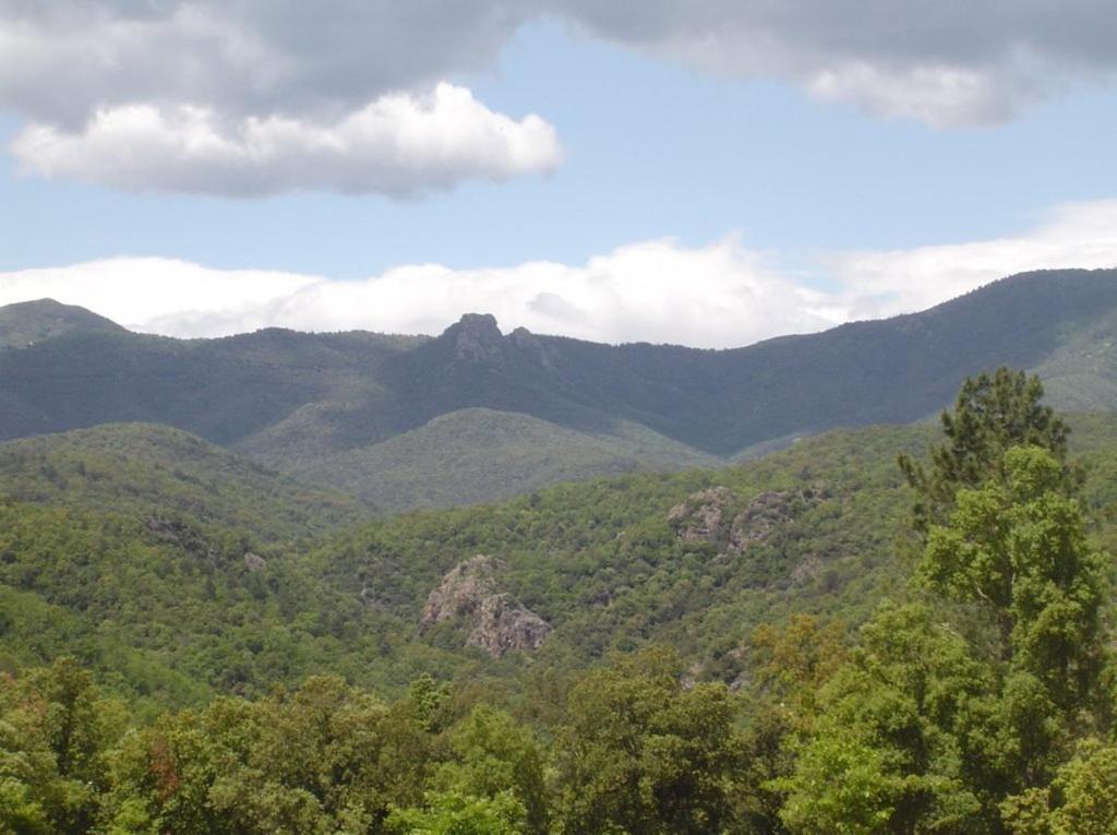 Camping Maçanet de Cabrenys Εξωτερικό φωτογραφία