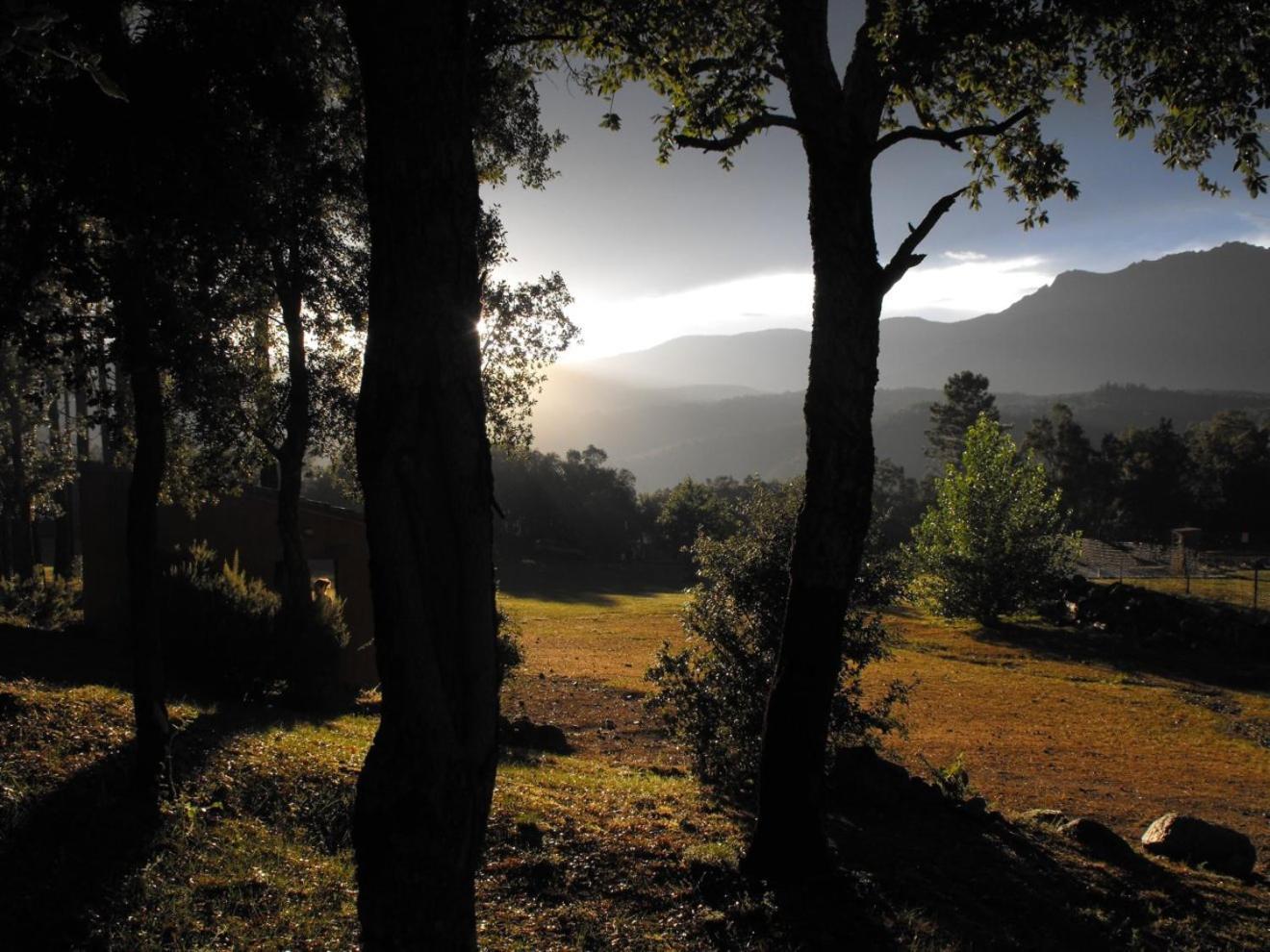 Camping Maçanet de Cabrenys Εξωτερικό φωτογραφία