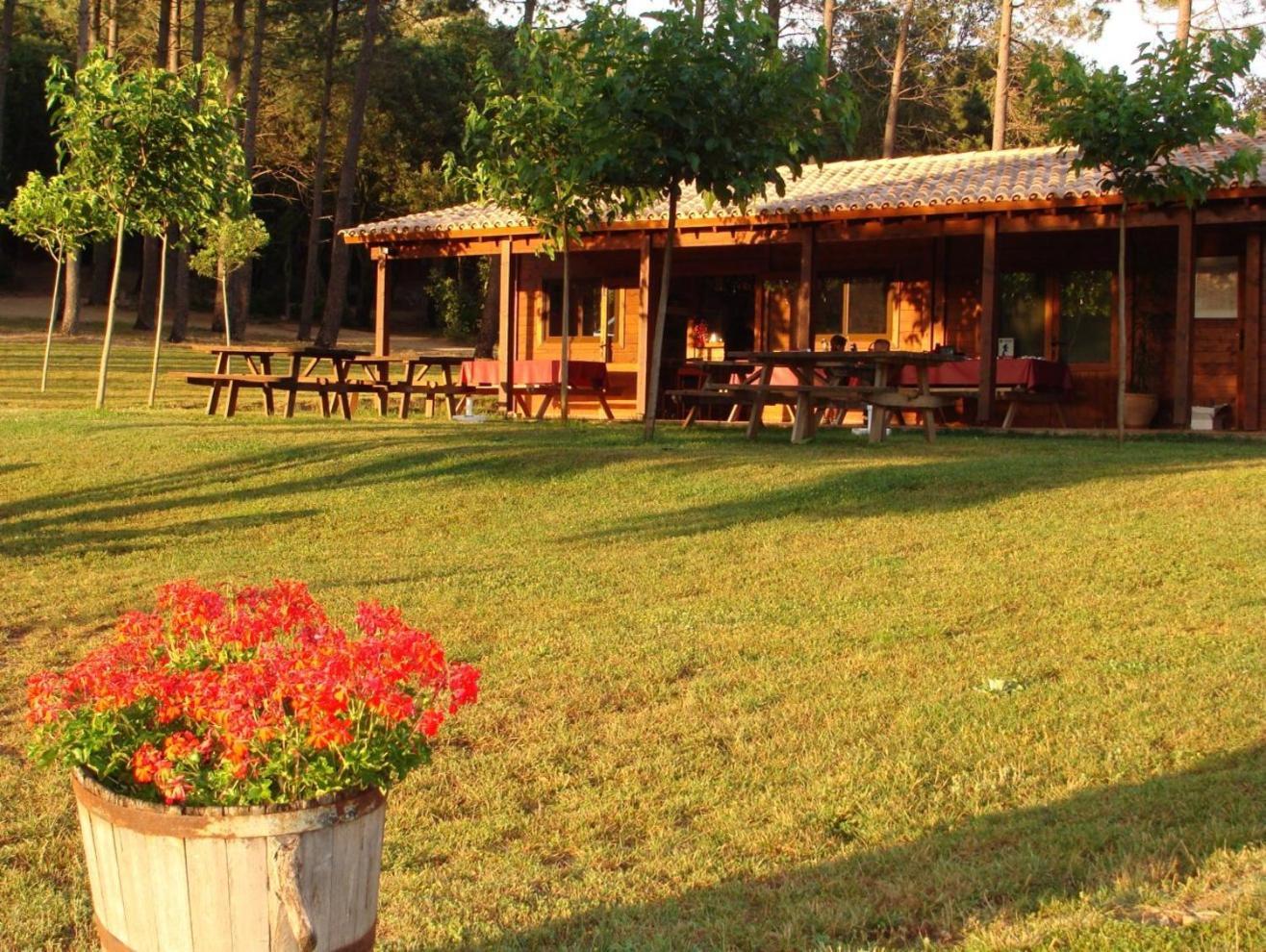 Camping Maçanet de Cabrenys Εξωτερικό φωτογραφία
