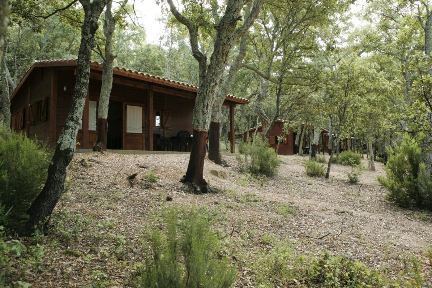 Camping Maçanet de Cabrenys Εξωτερικό φωτογραφία