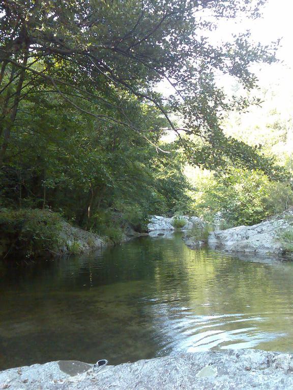 Camping Maçanet de Cabrenys Εξωτερικό φωτογραφία
