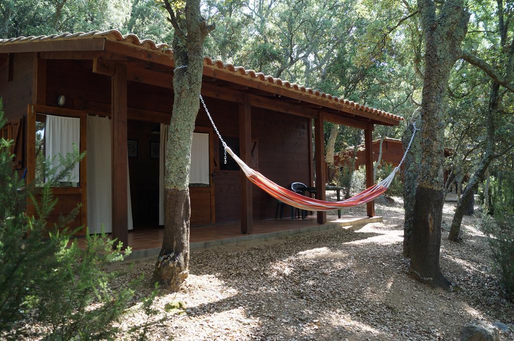 Camping Maçanet de Cabrenys Εξωτερικό φωτογραφία