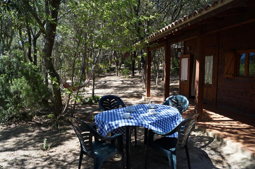Camping Maçanet de Cabrenys Εξωτερικό φωτογραφία