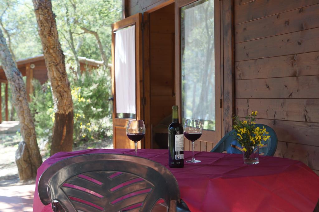 Camping Maçanet de Cabrenys Εξωτερικό φωτογραφία