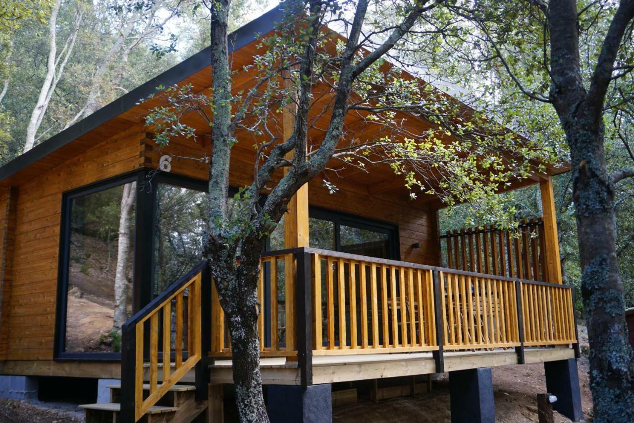 Camping Maçanet de Cabrenys Εξωτερικό φωτογραφία