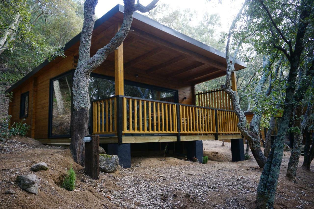 Camping Maçanet de Cabrenys Εξωτερικό φωτογραφία