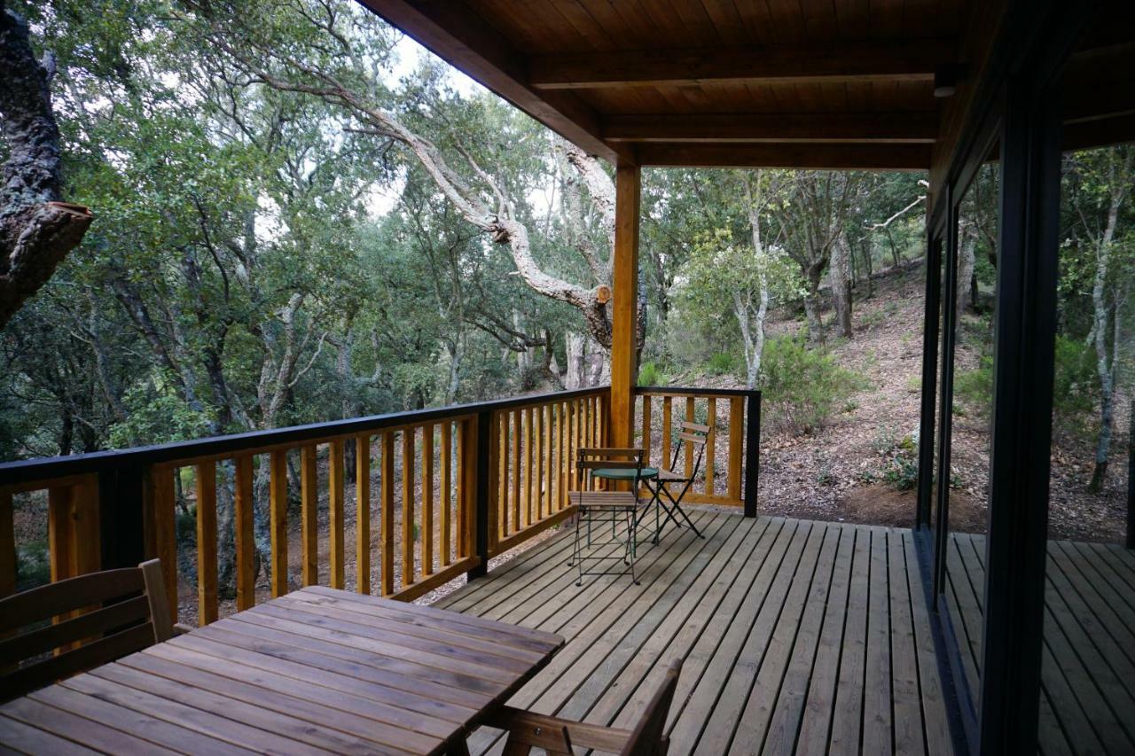 Camping Maçanet de Cabrenys Εξωτερικό φωτογραφία